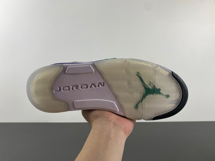 Jordan 5 Retro Grape 136027-108
