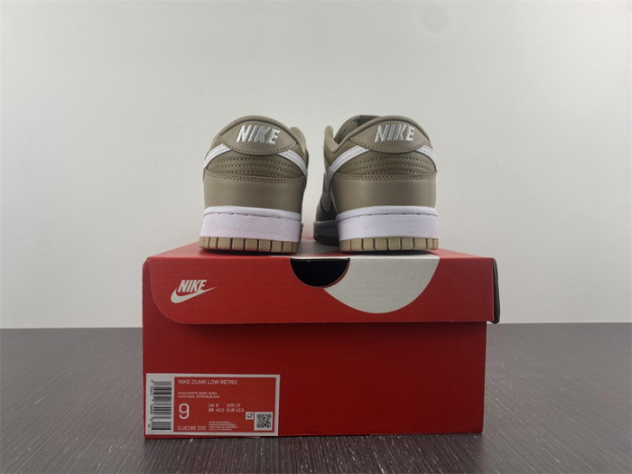 Nike Dunk Low Judge Grey DJ6188-200